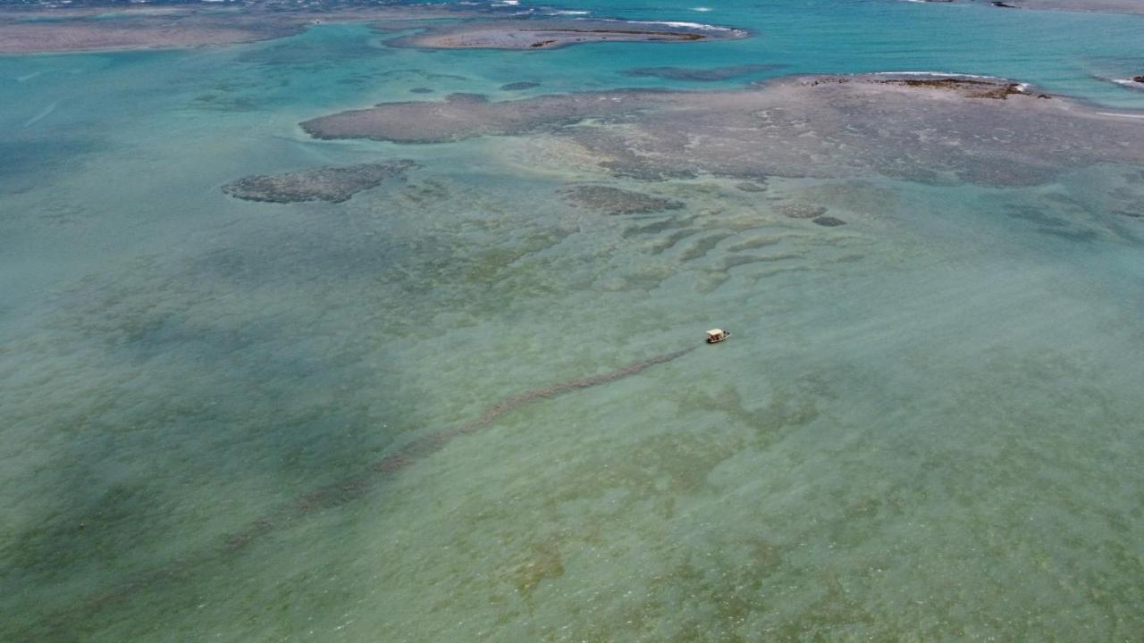 Chales Sol De Milagres São Miguel dos Milagres Eksteriør billede
